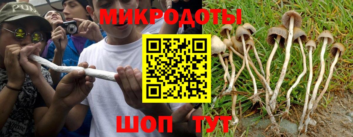 Псилоцибиновые грибы Cubensis  Псилоцибиновые грибы мицелий  Мытищи  Вход с VPN 
