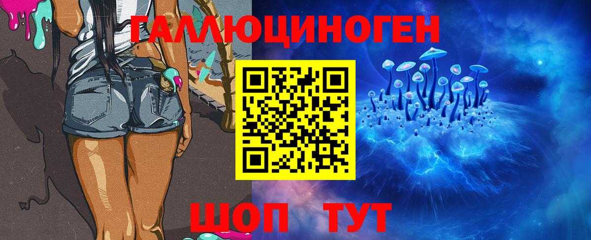 Галлюциногенные грибы Psilocybe Мытищи